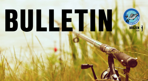 Snímek obrazovky 2026-03-16 102351.png